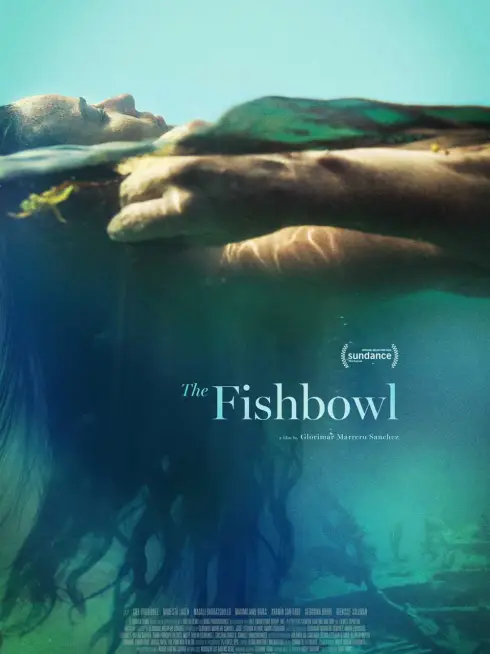 The Fishbowl