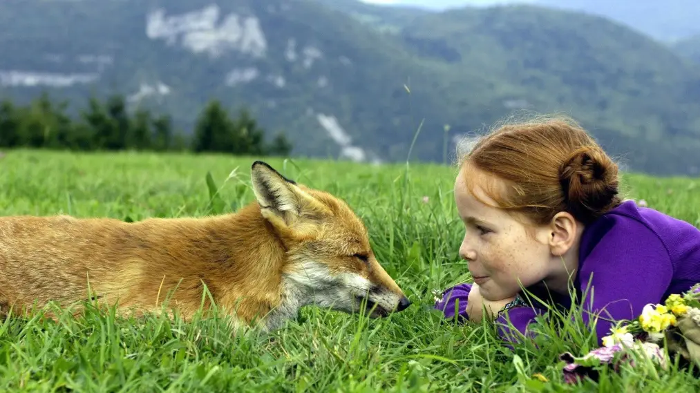 Phim The Fox and the Child - Le Renard et l'Enfant (2007)