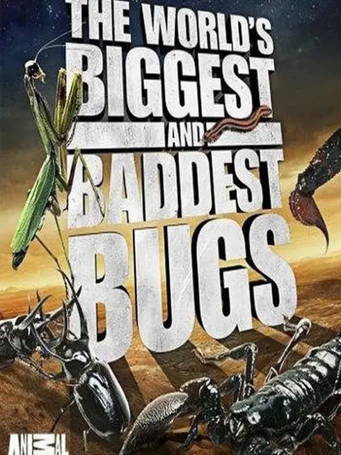 Phim Thế Giới Côn Trùng Khổng Lồ và Nguy Hiểm - The World's Biggest and Baddest Bugs (2009)
