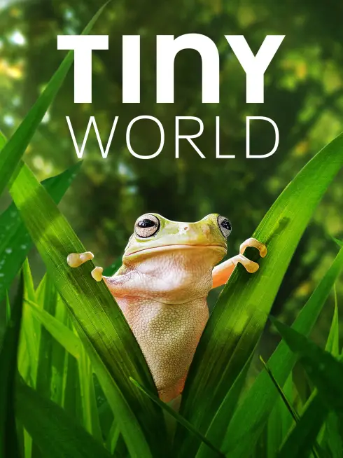 Phim Thế Giới Siêu Nhỏ (Phần 2) - Tiny World (Season 2) (2021)