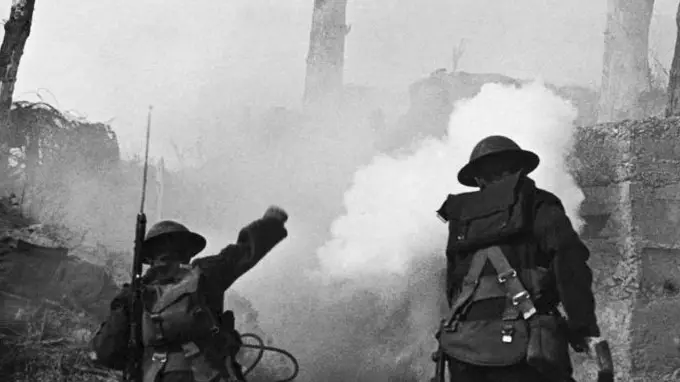 The Great War in Numbers