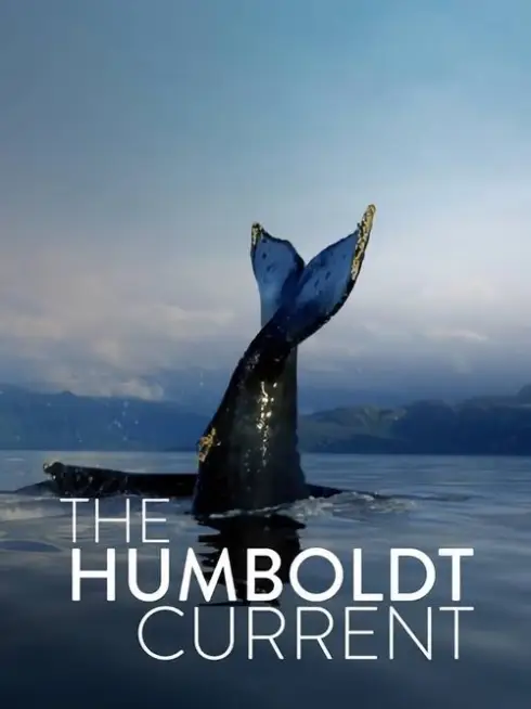 The Humboldt Current