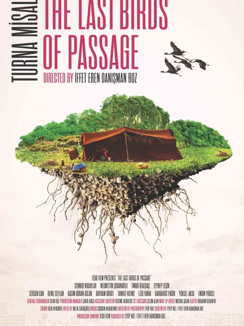  The Last Birds of Passage (2021)