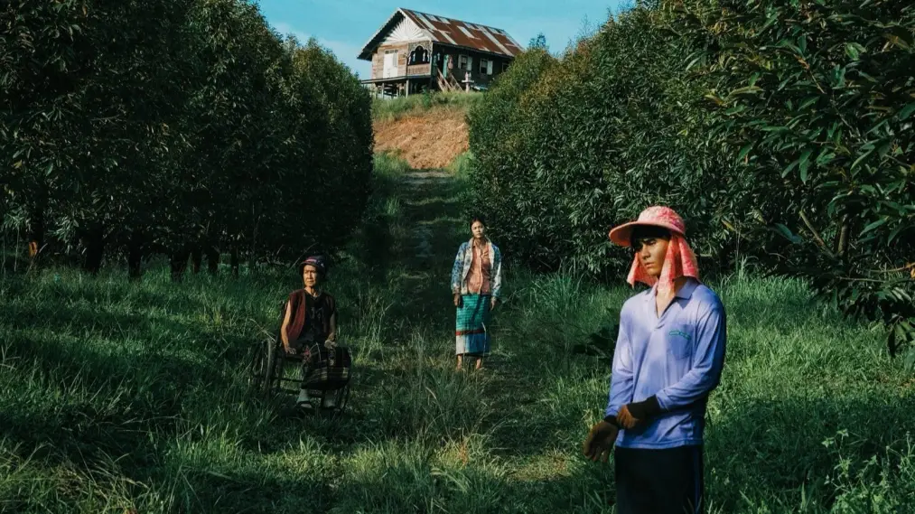 Phim The Paradise of Thorns - วิมานหนาม (2024)