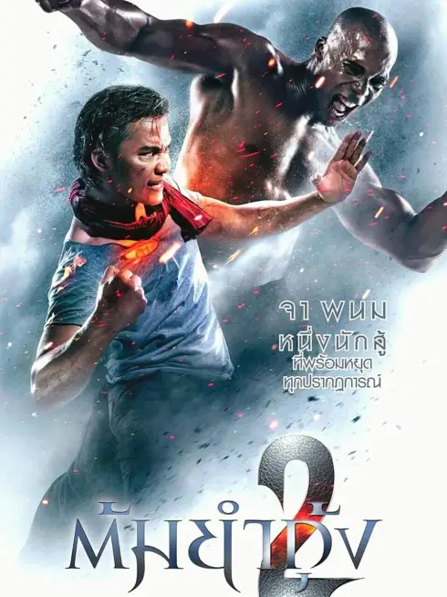 The Protector 2