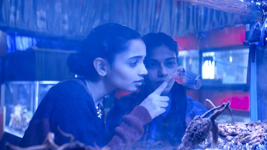 Phim The Shameless - निर्लज्ज (2025)