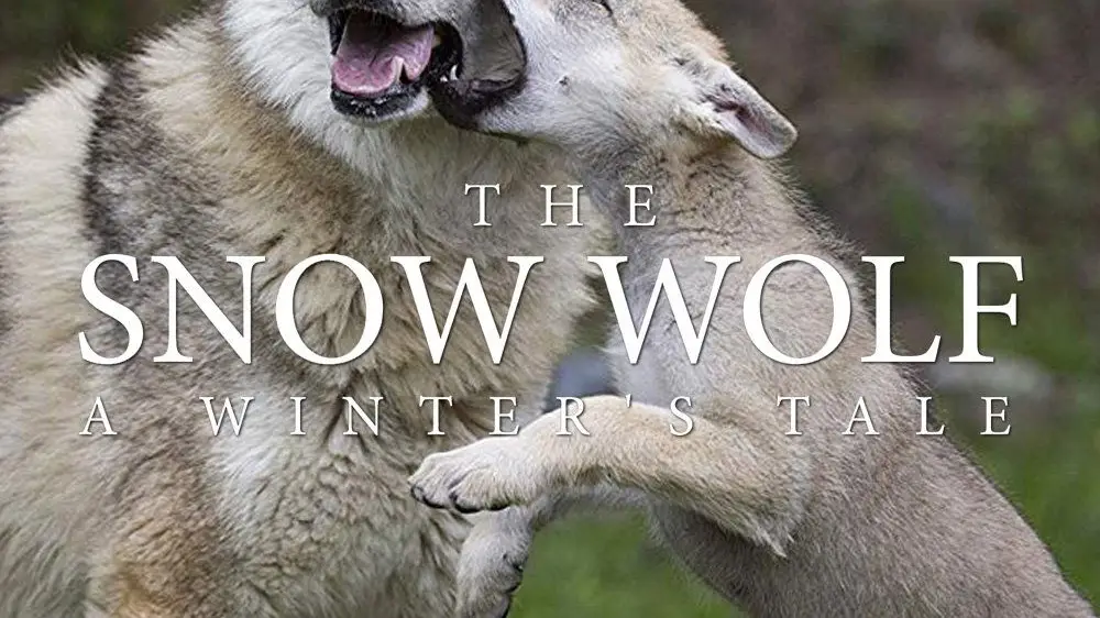 Phim The Snow Wolf: A Winter's Tale - The Snow Wolf: A Winter's Tale (2018)
