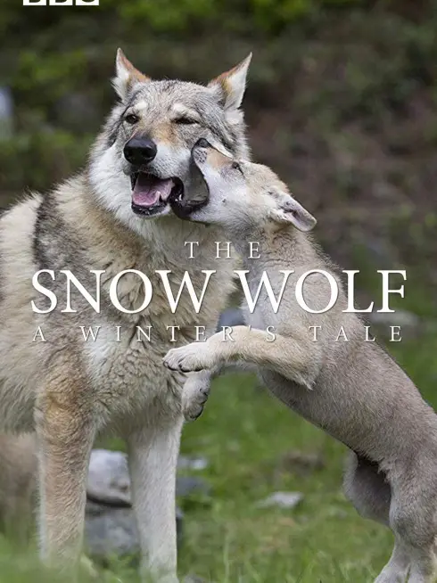 The Snow Wolf: A Winter's Tale
