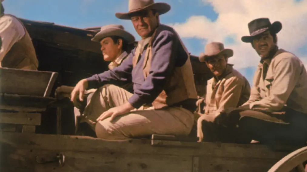 The Sons of Katie Elder
