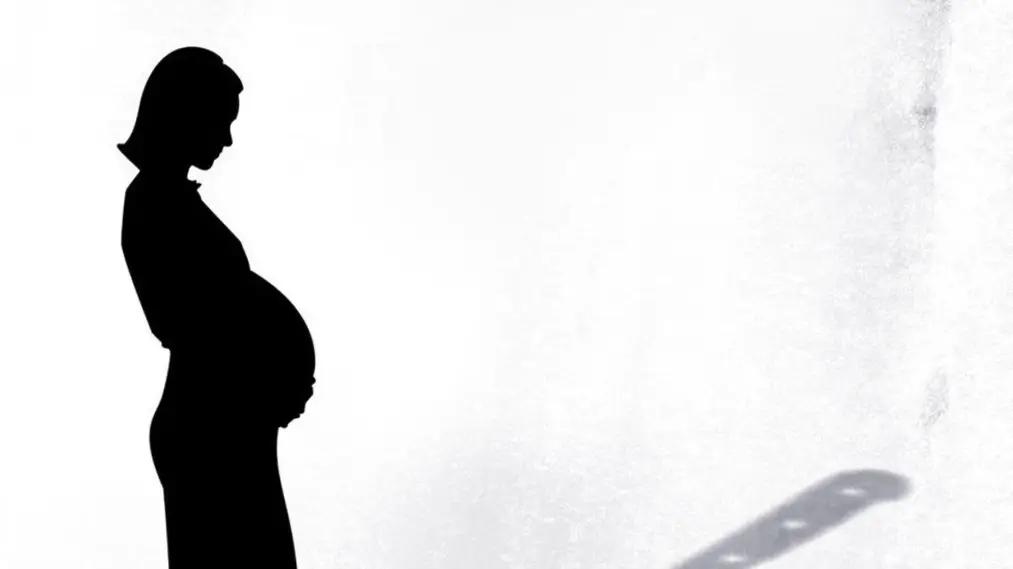 Phim The Surrogacy Trap - The Surrogacy Trap (2012)