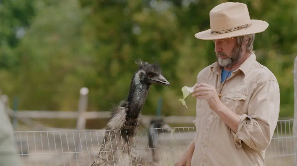 Phim The Tom Green Farm - The Tom Green Farm (2026)