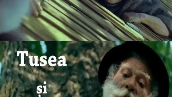 Phim The Toothless War - Tusea și junghiul (1992)