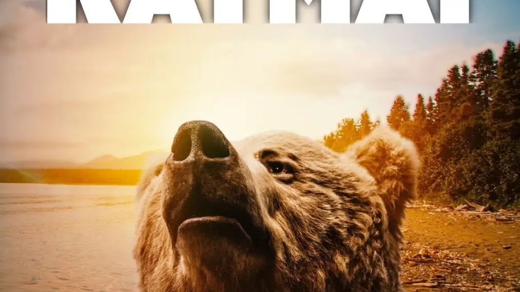 The Tracker's Diary: Bears of Katmai
