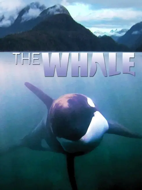  The Whale (2011)