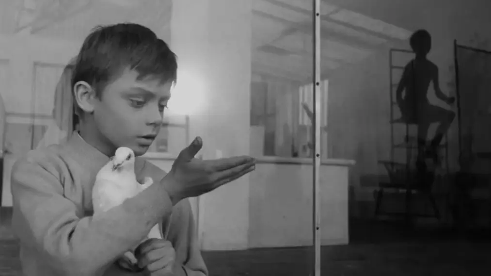 Phim The White Dove - Holubice (1960)