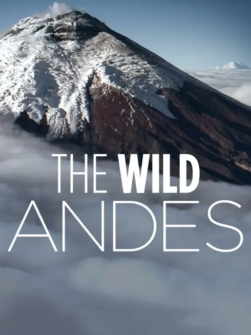 Phim The Wild Andes - The Wild Andes (2018)
