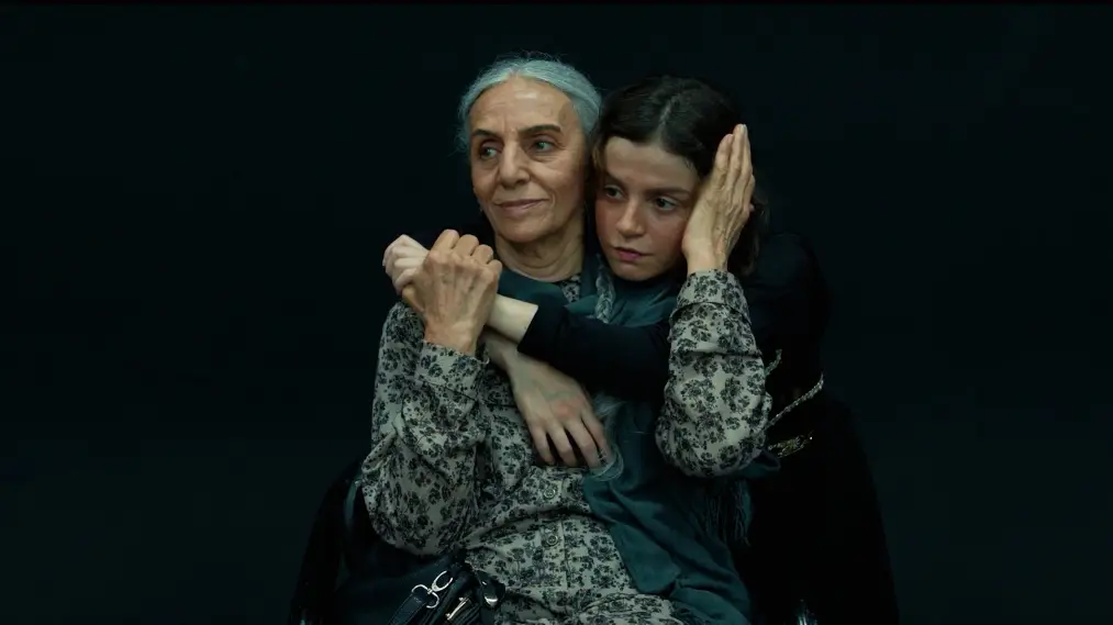 Phim The Witness - The Witness (2025)