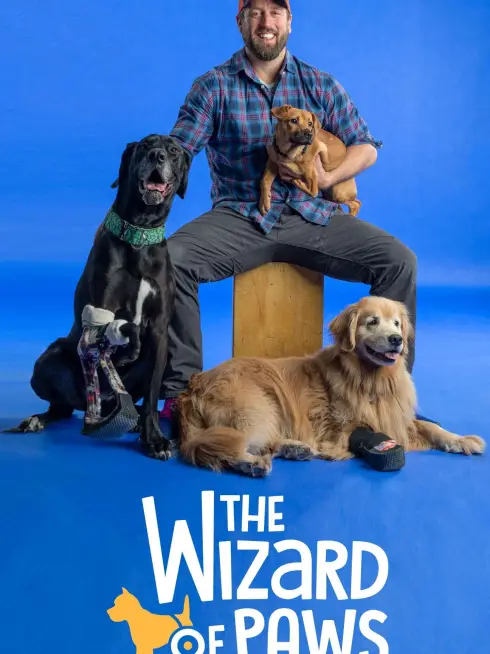 The Wizard of Paws