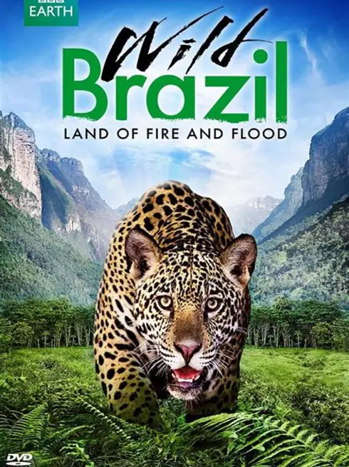 Phim Thiên Nhiên Brazil Hoang Dã - Wild Brazil (2014)