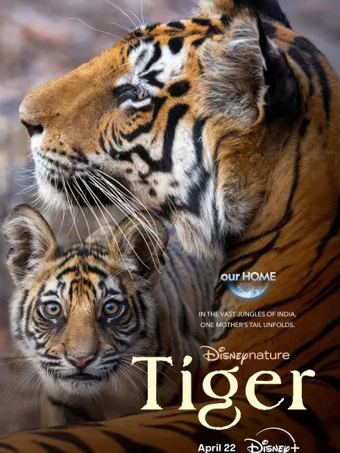 Phim Tiger - Tiger (2024)