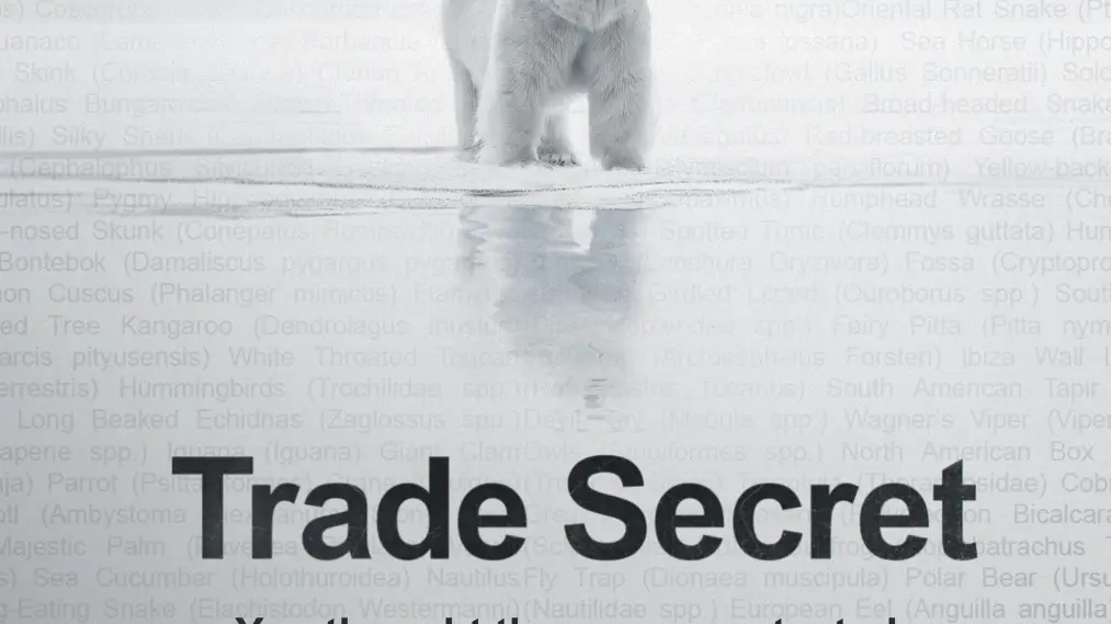 Trade Secret