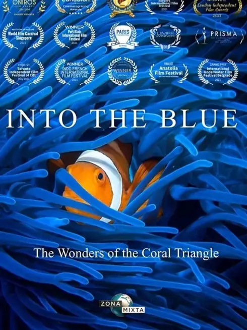 Triangle de Corail Merveilleuse biodiversité marine