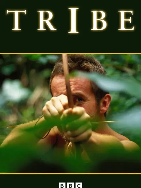 Tribe
