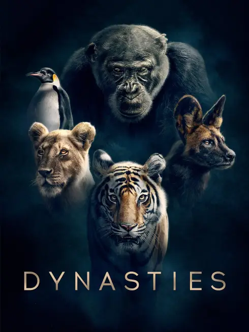 Phim Triều Đại - Dynasties (2018)
