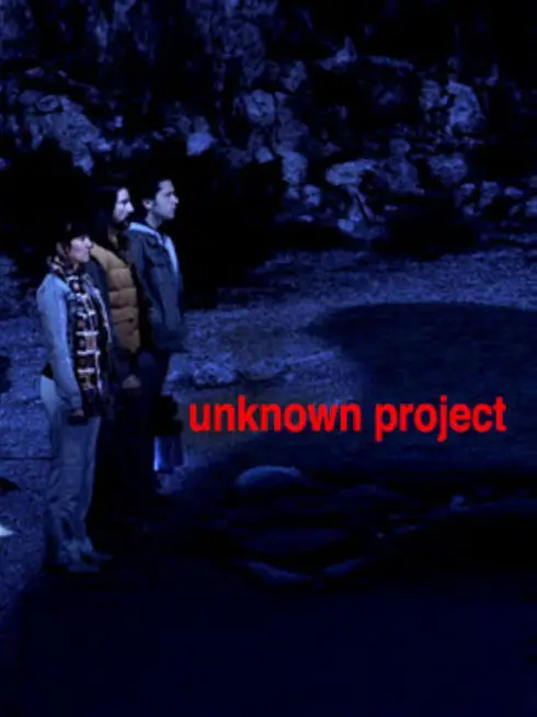  Unknown Project (2013)