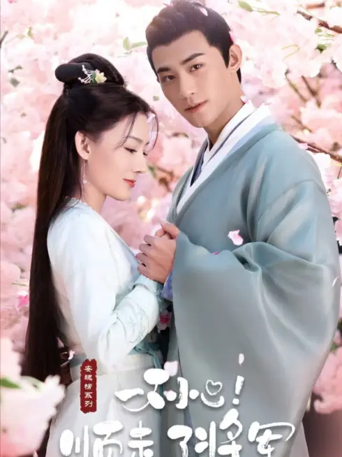 Phim Vô Tình Phải Lòng Tướng Quân (Trộm Phải Tim Chàng) - Follow My Dear General (2022)