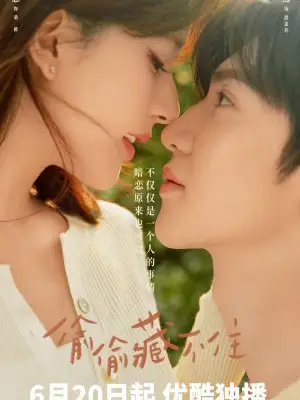 Phim Vụng Trộm Không Thể Giấu - Hidden Love (2023)