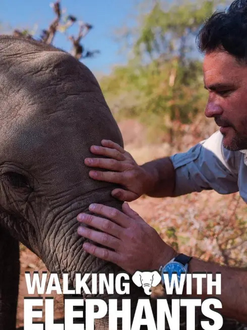  Walking With Elephants (2020)