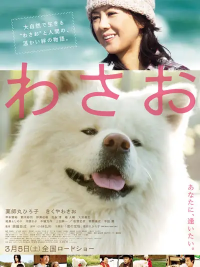 Wasao