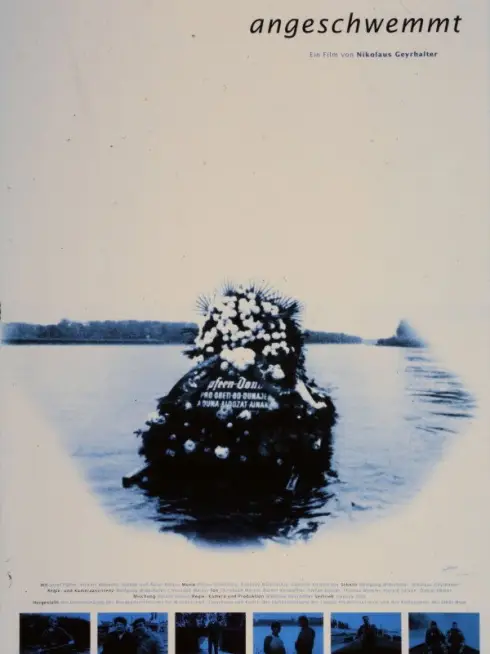 Washed Ashore