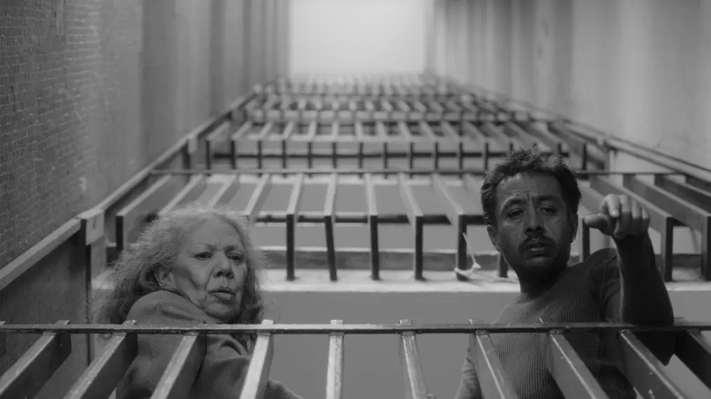 Phim We Shall Not Be Moved - No nos moverán (2024)