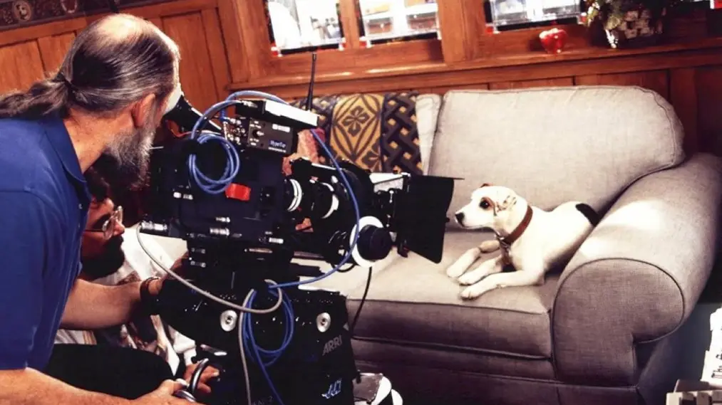 Phim What's the Story, Wishbone? - What's the Story, Wishbone? (2026)