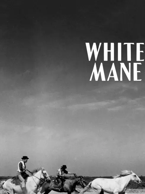  White Mane (1953)