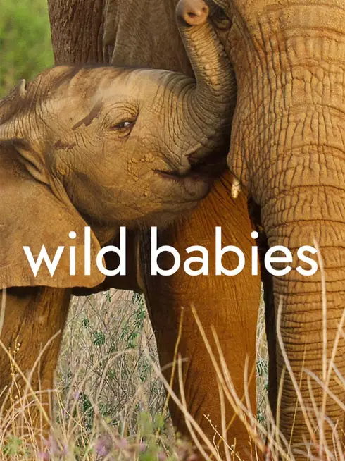  Wild Babies (2022)