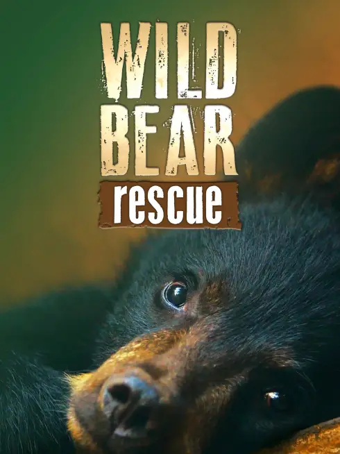 Wild Bear Rescue
