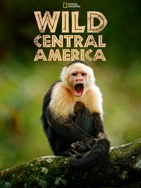 Wild Central America