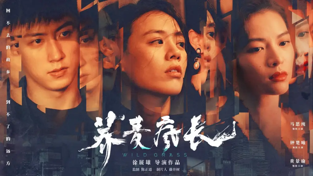 Phim Wild Grass - 荞麦疯长 (2020)