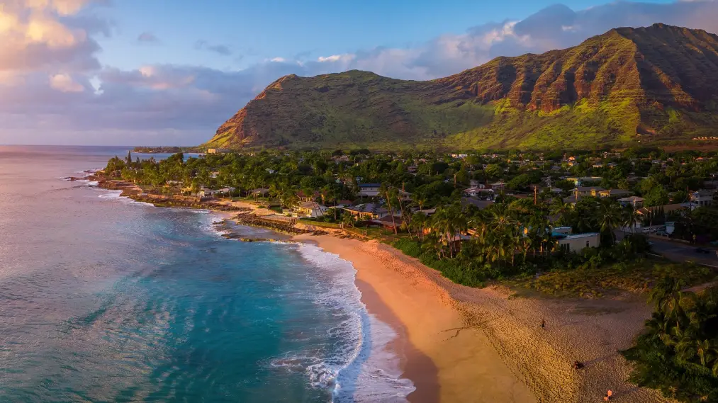 Phim Wild Hawaii - Wild Hawaii (2014)