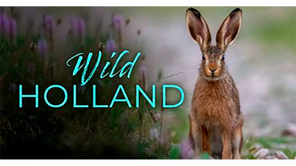 Phim Wild Holland - Holland: Natuur in de Delta (2017)