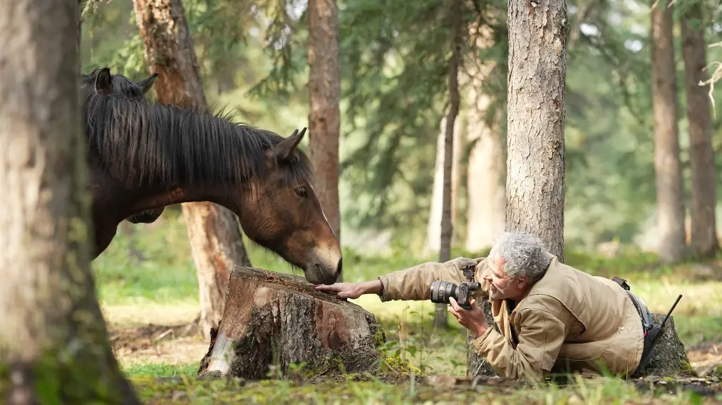 Phim Wild Horses, the Rockies and Me - Wild Horses, the Rockies and Me (2025)