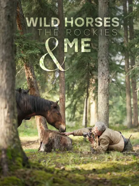 Wild Horses, the Rockies and Me