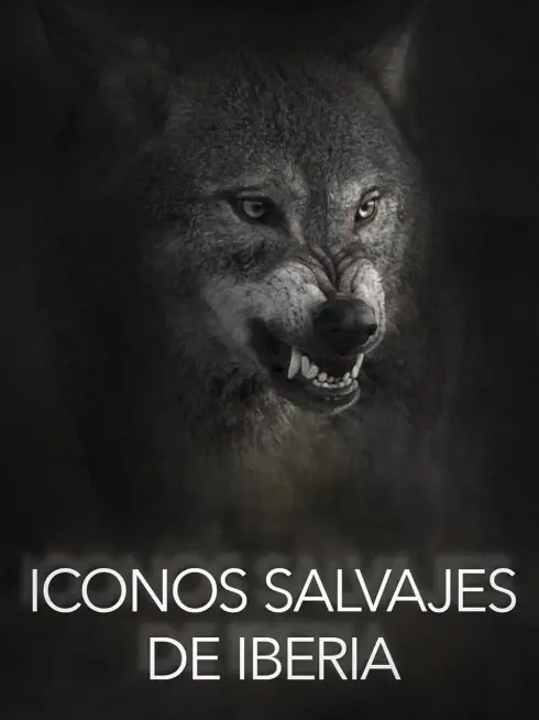 Wild Icons of Iberia