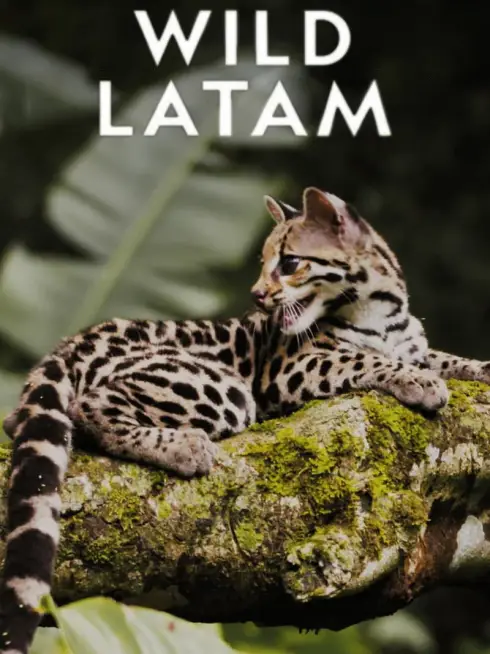 Wild Latam