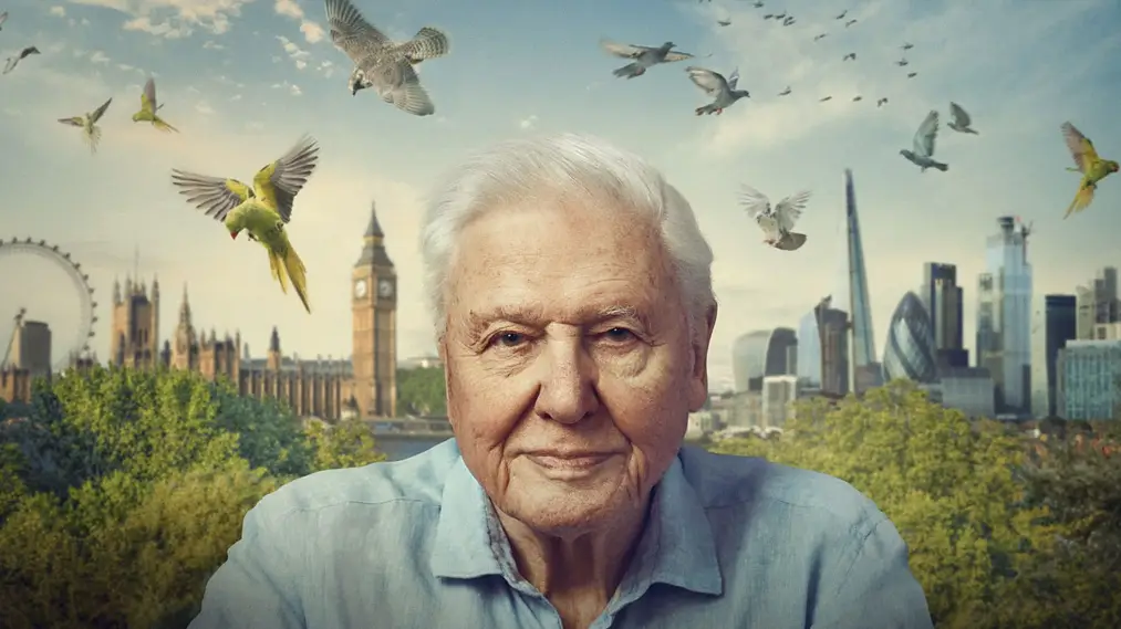 Phim Wild London - Wild London (2026)