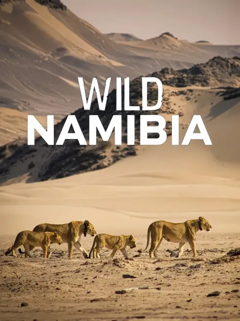 Wild Namibia