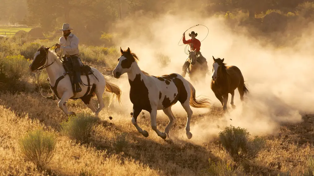 Phim Wild West: America's Great Frontier - Wild West: America's Great Frontier (2016)